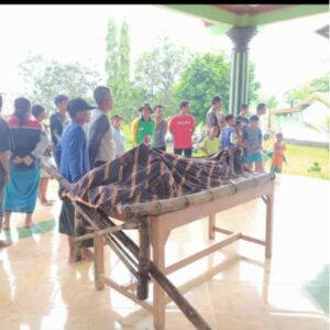 Panen Padi, Buruh Tani Tewas Disambar Petir