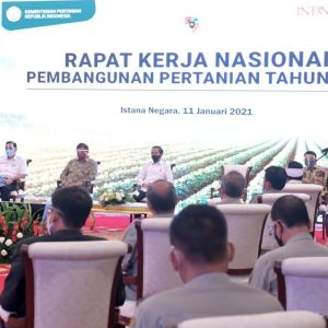 Perkuat Sektor Pertanian Nasional dengan Skala Ekonomi dan Teknologi Perkuat Sektor Pertanian Nasional dengan Skala Ekonomi dan Teknologi