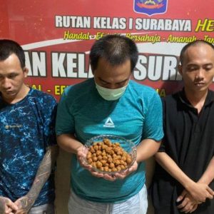 Digagalkan, Penyelundupan Pil Koplo Dimasukkan Bumbu Pecel Digagalkan, Penyelundupan Pil Koplo Dimasukkan Bumbu Pecel