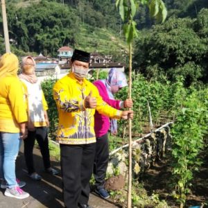 “NJOGO DESO” Gerakan Penghijauan Jalur Kawasan Wisata “NJOGO DESO” Gerakan Penghijauan Jalur Kawasan Wisata