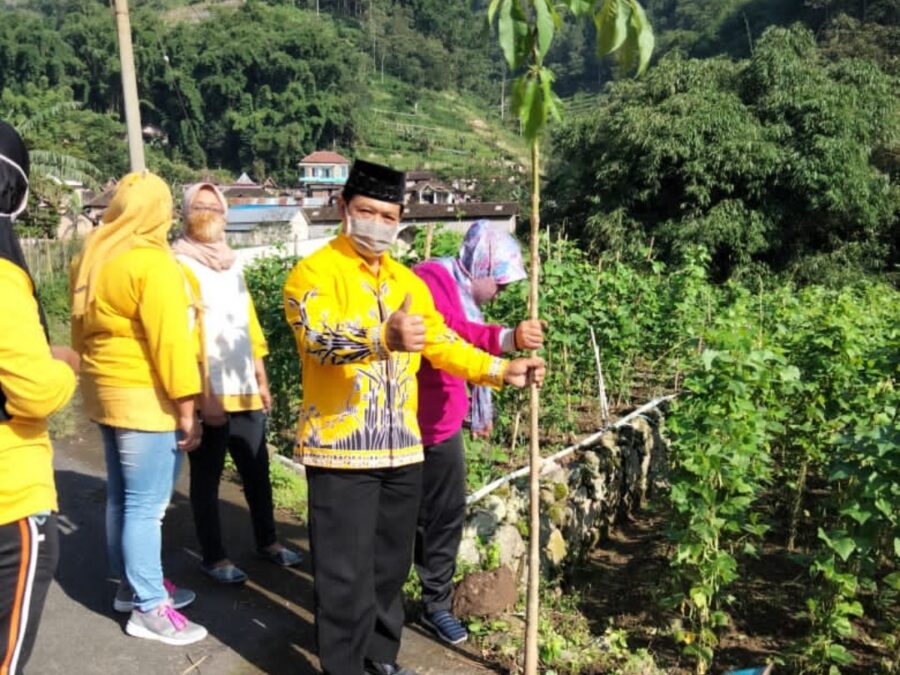 “NJOGO DESO” Gerakan Penghijauan Jalur Kawasan Wisata