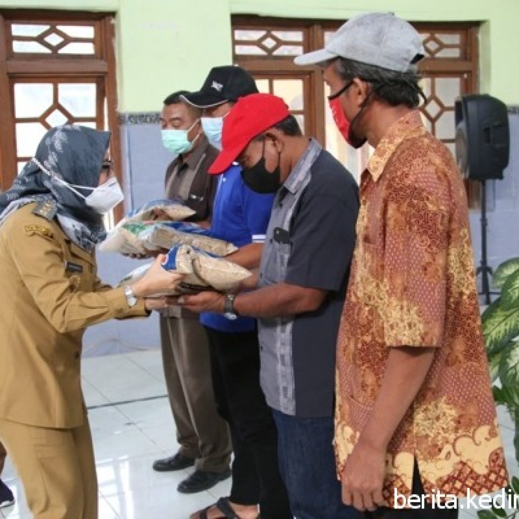 Pemkab Kediri Gulirkan Bantuan 1.250 Kilogram Benih Padi