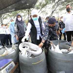 Sektor Perikanan Masuk Tiga Besar Komoditas Eksport Jatim
