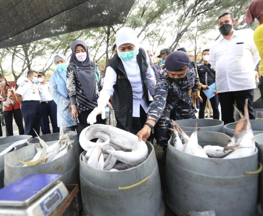 Sektor Perikanan Masuk Tiga Besar Komoditas Eksport Jatim