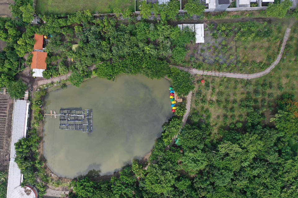 Bendung Covid Pemkot Tutup Taman dan Tahura se-Surabaya