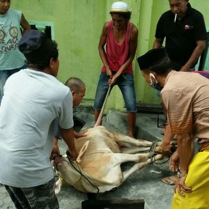 Forkopimda Perlu Terapkan Prokes dalam Penyembelihan Hewan Kurban Forkopimda Perlu Terapkan Prokes dalam Penyembelihan Hewan Kurban