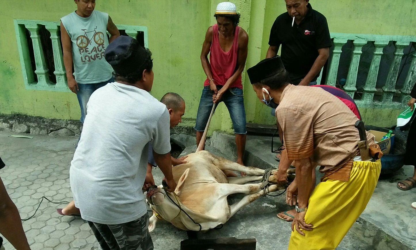 Forkopimda Perlu Terapkan Prokes dalam Penyembelihan Hewan Kurban