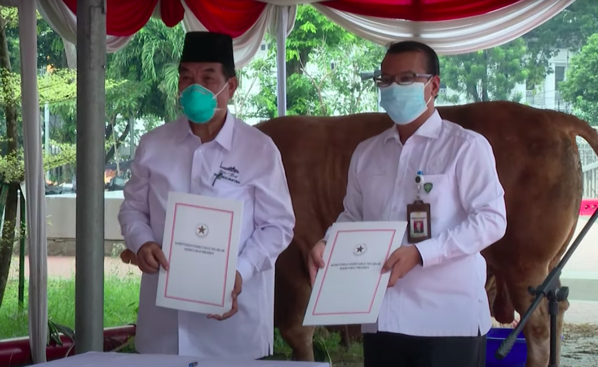 Presiden Berkurban Limosin Cross Berbobot 1.199 Kilogram di Masjid Istiqlal