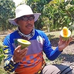 Mangga Klonal 21 Dipalsu, Petani Minta Tindakan Tegas Pemkab Pasuruan Mangga Klonal 21 Dipalsu, Petani Minta Tindakan Tegas Pemkab Pasuruan