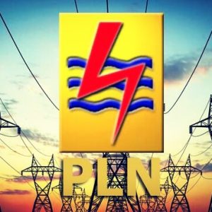 PLN Jangan Andalkan Listrik Swasta, Bangun Pembangkit Listrik Sendiri PLN Jangan Andalkan Listrik Swasta, Bangun Pembangkit Listrik Sendiri