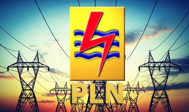 PLN Jangan Andalkan Listrik Swasta, Bangun Pembangkit Listrik Sendiri