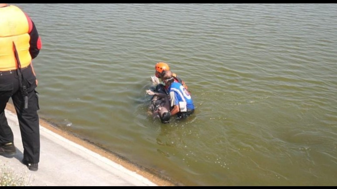 Mayat Pria Ditemukan di Waduk Long Storage, Tangan Terikat Rafia