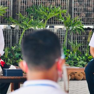Pesan Presiden ke Petani Porang, Harus Bisa Mengolah Pascapanen Pesan Presiden ke Petani Porang, Harus Bisa Mengolah Pascapanen