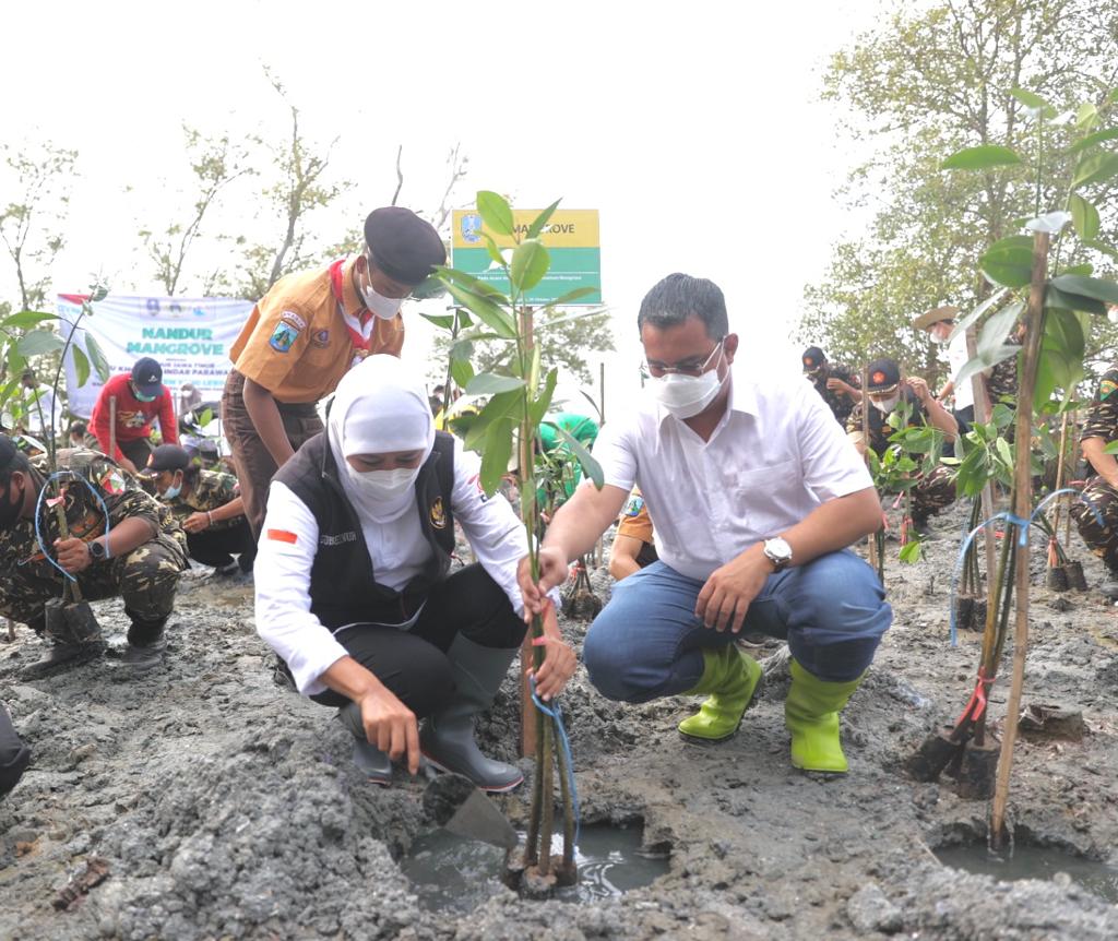 Pencanangan Gerakan Restorasi Mangrove