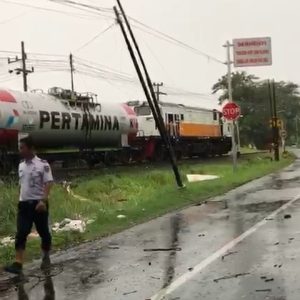 7 Pohon Ambruk, Perjalanan KA Terlambat 2,5 Jam 7 Pohon Ambruk, Perjalanan KA Terlambat 2,5 Jam