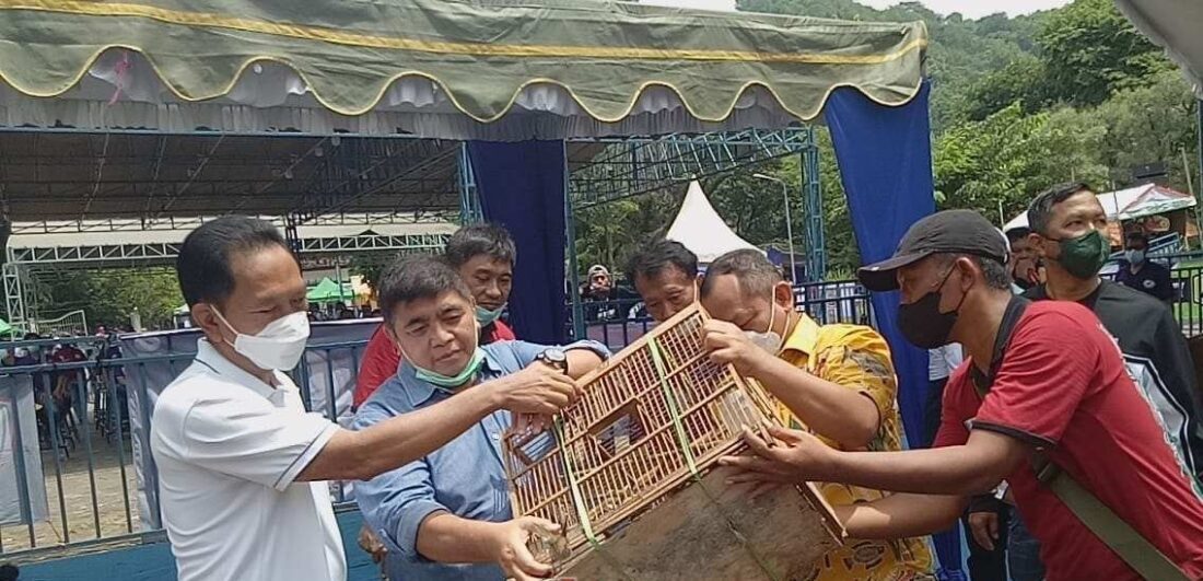 Ketua DPD Golkar Jatim Meriahkan Lomba Burung Piala Kerajaan Kediri 2