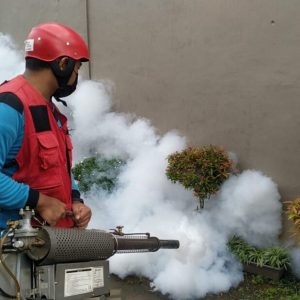 Tiga Anak Masuk RS, Demam Berdarah Mulai Masuk Jember Tiga Anak Masuk RS, Demam Berdarah Mulai Masuk Jember