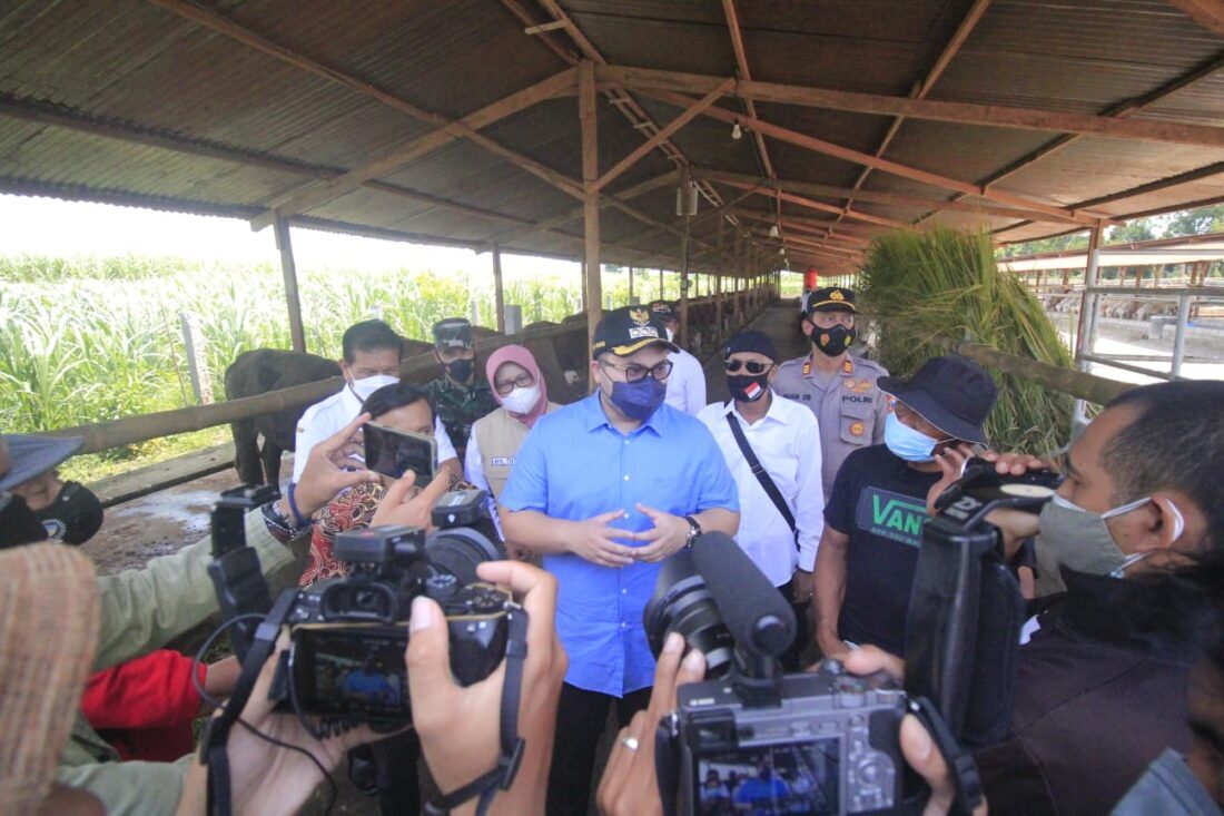 Kelompok Peternak di Kabupaten Kediri Mendapat Hibah Ratusan Sapi Impor dan Lokal