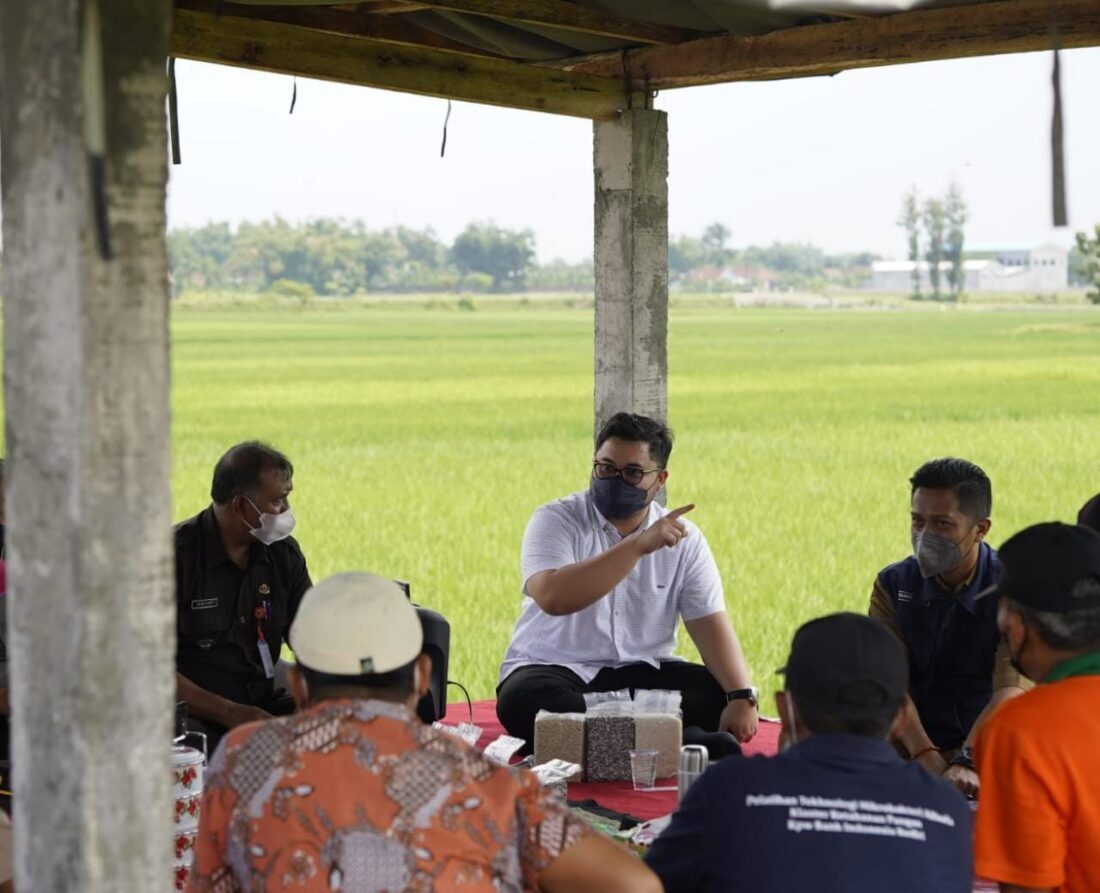 Bupati Kediri Jamin Ketersediaan Pupuk Bagi Petani