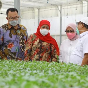 Pemprov Jatim MoU Dengan IPB Tingkatkan SDM Pertanian Pemprov Jatim MoU Dengan IPB Tingkatkan SDM Pertanian
