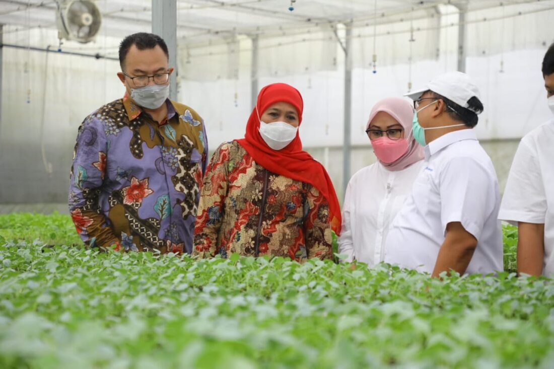 Pemprov Jatim MoU Dengan IPB Tingkatkan SDM Pertanian