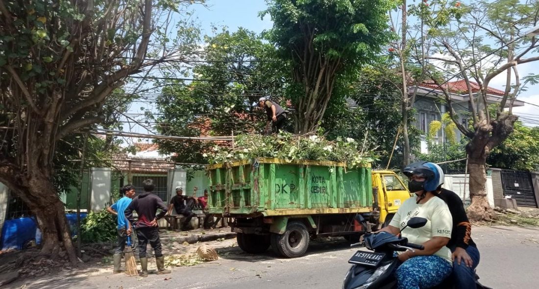 Antisipasi Pohon Tumbang, DLHKP Kota Kediri Pangkas Pohon Rimbun