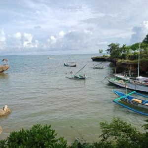 Menjual Pulau, Menyelamatkan Pesisir
