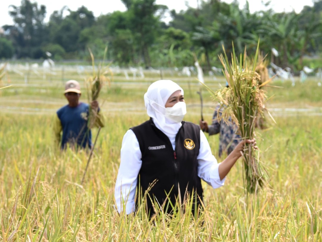 Gubernur Khofifah Klaim Petani Milenial Jatim Terbanyak