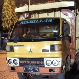 Tebang Sonokeling, 5 Orang Diperiksa Petugas Tebang Sonokeling, 5 Orang Diperiksa Petugas