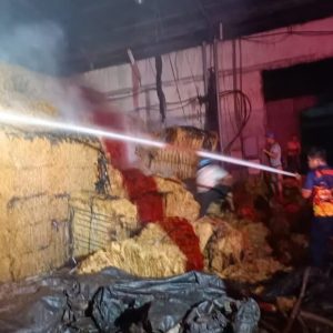 Berjuang Padamkan Api Satu Petugas Damkar Pingsan