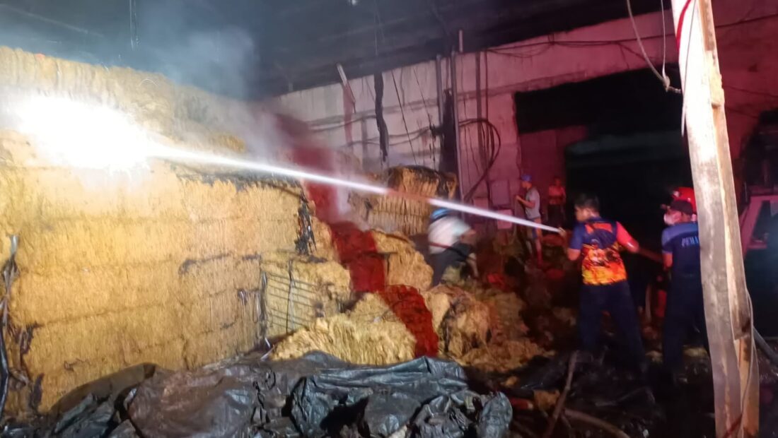 Berjuang Padamkan Api Satu Petugas Damkar Pingsan
