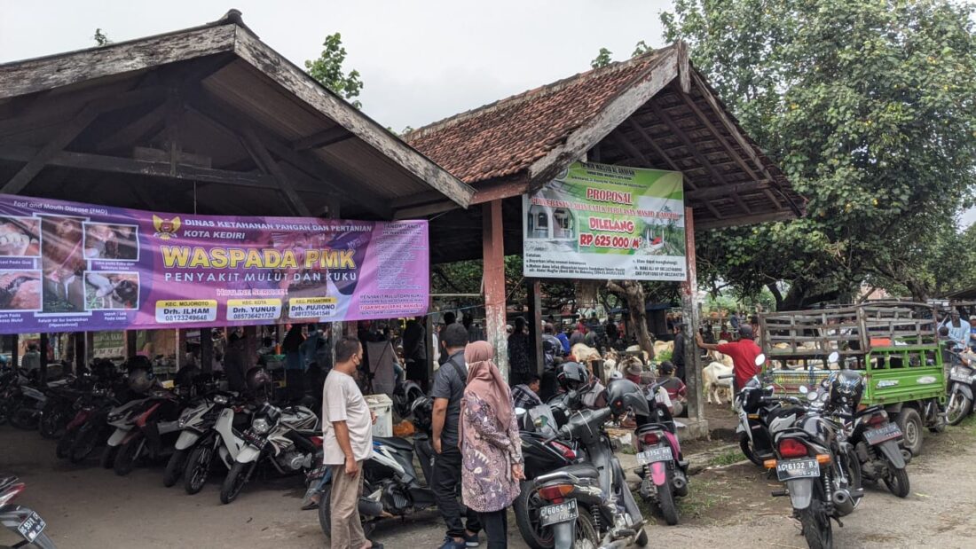 Selama 14 Hari, Pasar Hewan Muning Kota Kediri akan Ditutup