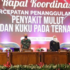 Gubernur Minta Bupati dan Wali Kota Keluarkan SK Bentuk Satgas Penanganan PMK Gubernur Minta Bupati dan Wali Kota Keluarkan SK Bentuk Satgas Penanganan PMK