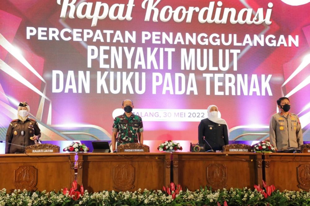 Gubernur Minta Bupati dan Wali Kota Keluarkan SK Bentuk Satgas Penanganan PMK