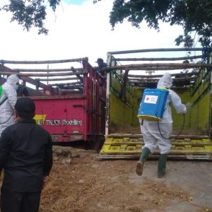 Relawan PMI Semprot Pasar Hewan dengan Disinfektan Relawan PMI Semprot Pasar Hewan dengan Disinfektan