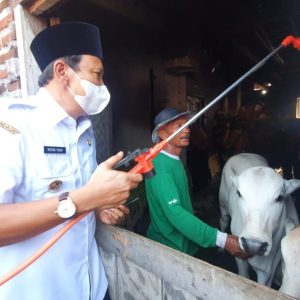 Antisipasi Suspect PKM, Bupati Pasuruan Bersama Kapolres Pantau Langsung Peternak Sapi Antisipasi Suspect PKM, Bupati Pasuruan Bersama Kapolres Pantau Langsung Peternak Sapi