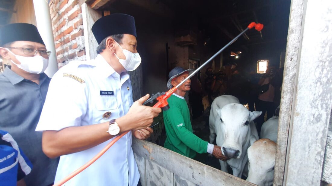 Antisipasi Suspect PKM, Bupati Pasuruan Bersama Kapolres Pantau Langsung Peternak Sapi