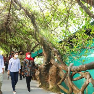 Kunjungan Wisman ke Jatim pada Maret 2022 Naik 9,62% Kunjungan Wisman ke Jatim pada Maret 2022 Naik 9,62%