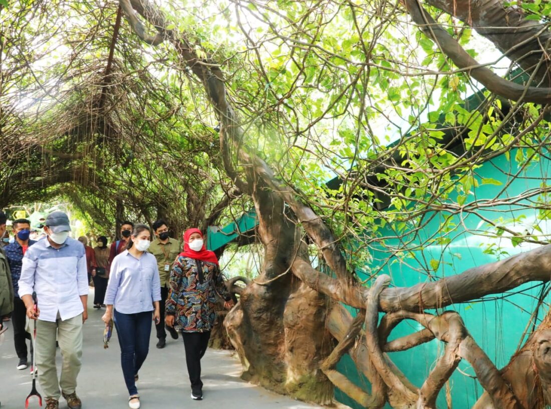 Kunjungan Wisman ke Jatim pada Maret 2022 Naik 9,62%