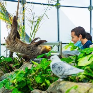 Ragam aktivitas isi pekan libur Lebaran supaya lebih berkesan #infoTransparansi Ragam aktivitas isi pekan libur Lebaran supaya lebih berkesan #infoTransparansi