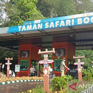 Liburan ke Taman Safari, diimbau beli tiket online Liburan ke Taman Safari, diimbau beli tiket online