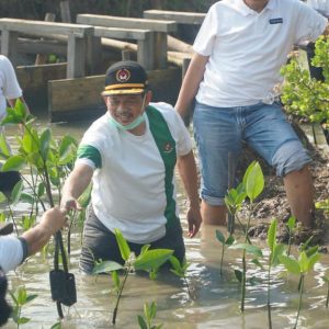 Semangat! Ratusan Pelajar Tanam 10 Ribu Mangrove