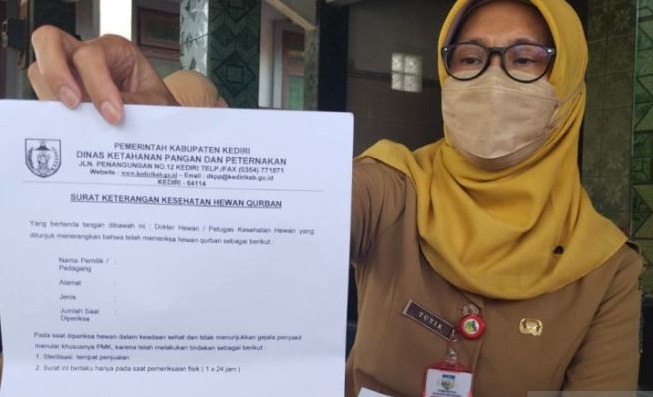 Begini Cara Dapat Surat Keterangan Kesehatan Hewan Kurban di Kediri