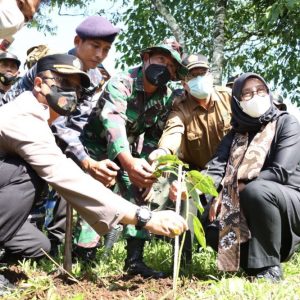 Sambut HUT Bhayangkara Ke – 76 PWI Bersama Forkopimda Banyuwangi Tanam Ribuan Pohon
