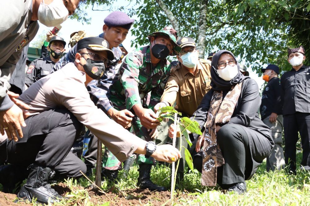Sambut HUT Bhayangkara Ke – 76 PWI Bersama Forkopimda Banyuwangi Tanam Ribuan Pohon