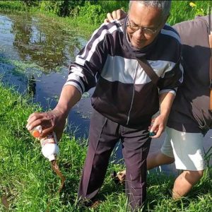 Penerapan Program Demplot Di Desa Tamansuruh