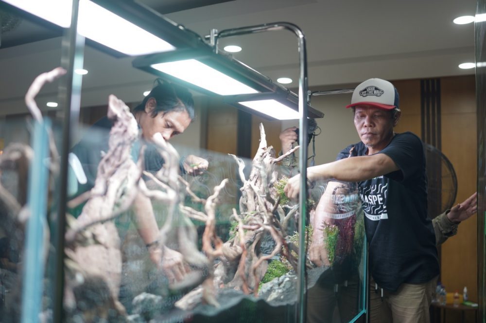 Pegadaian Ajak Masyarakat Buka Peluang Usaha Aquascape