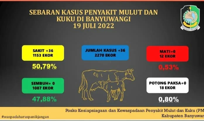 Dinas Pertanian Dan Pangan Banyuwangi Imbau Peternak Hewan Tetap Waspada Virus PMK