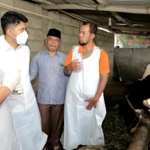 Peternak Jangan Takut Sapinya di Vaksin Peternak Jangan Takut Sapinya di Vaksin
