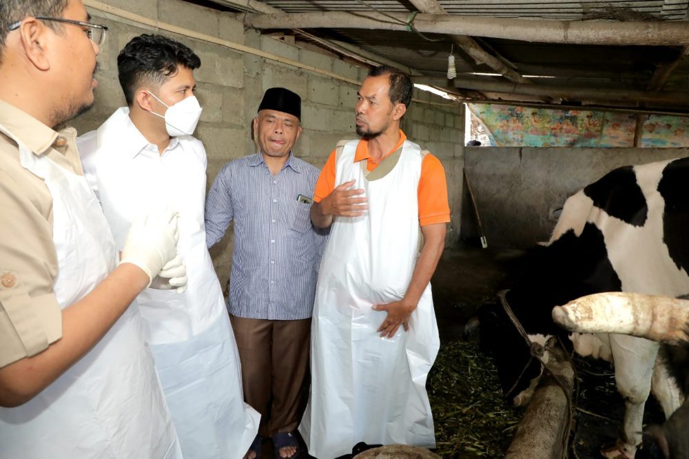 Peternak Jangan Takut Sapinya di Vaksin